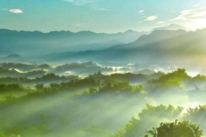 一位女孩的成长之旅（一位女孩的成长之旅）