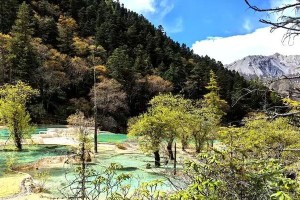 一次意外的旅行，改变了我的人生观（一次意外的旅行，改变了我的人生观）