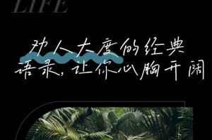 一个不屈不挠的少年（一个不屈不挠的少年）