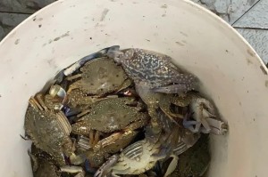 《岁月无痕》（一个追逐梦想的人物故事）