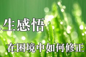成长不易，心灵考验不停歇（一个普通学生的人生历程）