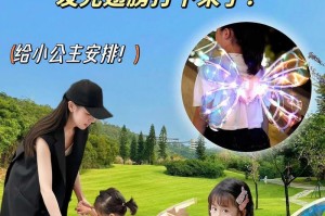 美丽的翅膀
