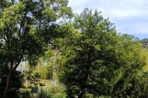 山水之间（那份在风景里的感动）