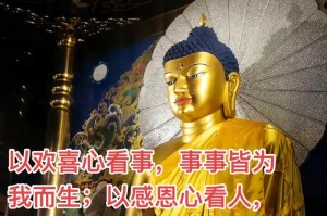 欢喜之路（追寻心灵的真正归属）