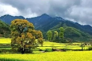照常（那年我们迎来了温暖，和一群新朋友）