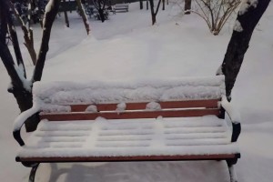 我爱冬天的雪花（那些年，我们一起玩雪）