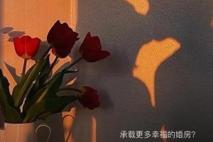 隐藏的幸福