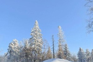 一次扫雪，一次感恩（当我们的生命被寒冷深深触动时）
