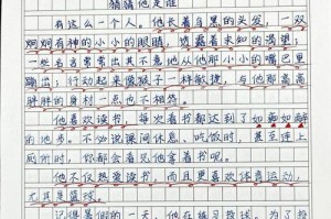 猜猜他是谁（三年级的惊奇故事）