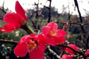 寻找自我，成长无限（寻找自我，成长无限）