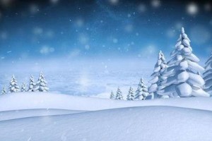 雪花飘舞的冬日故事（雪花飘舞的冬日故事）