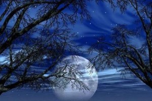 Moonstruck（ATaleofLunarReveries）