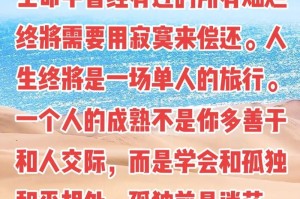 孤独中的成长之路（一个少年经历的成长故事）